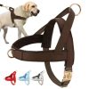 Adjustable Hamster Harness with Anti Lost Bite Resistance Leash for Gerbil Rat Mouse Ferret Walking Leads Small Animals Products