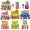 Sonny Angel Blind Box 20th Anniversary Harvest Series Fruit and Vegetable Anime Figures Ornaments Dolls Fans Children Gift
