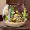 Fish tank living room small mini Douyu tank household tabletop ecological tank self circulating back filter goldfish tank