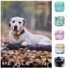 Ash Urn Sealed Cremation Funeral Ashes Keepsake Memorial Suitable Home Fireplaces Burial Ceramics Small Animals Pet Dog Cat