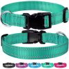 Pet P Snake Chain Collar Dog Choke Collar Stainless Steel for Dogs Adjustable Dog Training Choke Collar For Bulldog