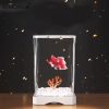 Aquarium Acrylic Fish Tank Breeding Isolation Box Goldfish Fighting Fish Viewing Tank Small Fry Breeder Isolations Box Supplies