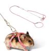 Customized PU Leather Nameplate Dog Collar Soft Padded Dogs Collars Free Engraving Name for Small Medium Large Dogs Adjustable
