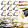 50W/100W Pet Heating Lamp Amphibian Amphibian Snake Lamp Heat Reptile Bulb Light E27 Reptile Pet Heat Emitter Lamp Bulb