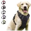 Adjustable Reptile Lizard Harness Leash Training Walking Rope Pet Leash Anti-Bite Harness Leash Pet Collar Chest Strap Lizard