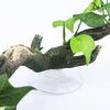 S/M/L Size Turtle Platform Float Decoration Terraces Grass Ramp Reptile Resting Moss Island Aquarium Accessories Habitat Decor