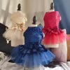 Puppy Summer Dress Cat Skirt Pet Clothing Chihuahua Teddy Skirt Puppy Cat Princess Apparel Cute Puppy Clothe Dog Princess Dress