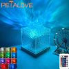 Creative Feather Table Lamp Warm White Light Tree Feather Lampshade Girl LED Wedding Decorative Lights Birthday Gift Home Decor
