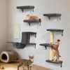 Cat Flap Door Lockable Low Noise Interior Exterior Kitten Door for Window Wall White Kitten Flap Door Pet Door Lockable Cat Door