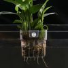 Multifunctional Aquarium Underground Tunnel Cave Under Gravel Tunnel Fish Tank Decoration Two Hole Fish Tank Decor Curve