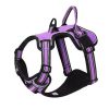 JanPet Fashion TPU Dog Pet Collars High quality waterproof deodorant Resistant dirt Easy clean collars 10 Colors Pet Products