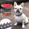New Macaron Colored PVC Dog Collar Waterproof Dirt Resistant Easy To Clean Pet Collar Adjustable Neck Collar Pet Dog Collar Set