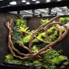 1/2pcs Reptile Terrarium Plant Decoration Reptile Plants With Suction Cup For Amphibian Lizard Climbing Pets Tank Habitat Decor