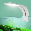 10pcs Vibrant Artificial Seaweed Aquarium Plants - Diverse & Lifelike Fish Tank Landscaping Decor