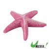 Resin Breeding Hiding Cave Simulation Shrimp Cave House Decorative Props Tree House Shelter Crafts Arts for Aquarium Landscaping