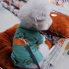 Lace Princess Dress Tutu Dress For Small Medium Dog Apparel Puppy Dog Skirts Pet Supplies Puppy Clothes Dog Dress 강아지옷