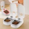 Automatic Feeder Cat Bowl Pets Water Dispenser Large Capacity Dogs Drinking Feeder 2 In 1 Non-Slip Pet Bowl Pet Feeding Supplies