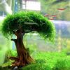 Aquarium Light With Adapter LED Clip On Fish Tank Light, Small Full Spectrum USB Light 360° Rotation Lighting