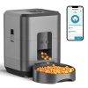 Smart Pet Feeder with Dual Bowls, WiFi APP Remote Control 5L Transparent Storage Bucket Automatic Cat Food Dispenser, Timed Quan