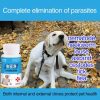 Pet Anti Flea Spray Itch Skin Relief Tick Control Cat Flea Treatment Antiparasite Insect Repellent Soothing Dog Deworming Liquid