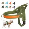 3Pcs Small Pet Leash Hamster Anti-Biting Strap Split Traction Rope Pet Training Leash Anti Lost Rope Chinchilla Leashes Squirrel