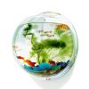 1PC Pet Transport Box Aquarium Tank Fish Betta Desktop Travel Bowl Lid Shell Breeding Cage Plastic Handheld Fish Tank Portable