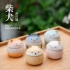 Tinplate Pet Cat Dog Bird Rabbit Urns For Ashes Small Cremation Mini Keepsake Iron Urn Funeral Casket Pet Memorial Urne