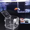 Transparent Acrylic Fish Tanks Large Capacity Aquarium For Axolotls, Newts Clear Acrylic Aquarium Tanks