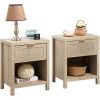 Bedside Table Large Capacity RGB Light Storage Nightstand Cabinet with 2 Drawers for Bedroom