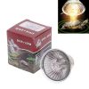 1/2/5/10PCS UVA UVB Reptile Heating Light Bulb 25/50/75W Snake Turtle Pet Full Spectrum Basking UV Light Bulbs Heating Light