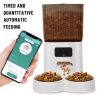 Automatic Cat Feeder Water Dispenser Set, 2 In 1 Tilted Automatic Pet Food And Water Feeder Gravity Food Feeder and Waterer