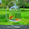 Wall Mounted Acrylic Fish Tank Creative Acrylic Transparent Fish Tank Home Decoration Aquarium Fish Supplies Pet Supplies