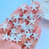 100 Pcs Cute Mini Luminous Turtle Ornaments Glowing In The Dark Miniatures Turtle Micro Landscape Kids Toys Home Decor Gift