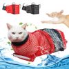 Steamy Dog Brush Electric Spray Cat Hair Brush 3 in1 Dog Steamer Brush for Massage Pet Grooming Removing Tangled and Loose Hair