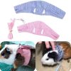 Adjustable Pet Cat Dog Car Seat  Belt Pet Seat Vehicle Dog Harness Lead Clip Safety Lever Traction Dog Collars Dog Accessoires