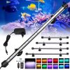 Aquarium Shell Pearl Decoration Air Stone Bubbler Decor Landscaping Supplies