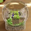 KEMORELA Small Fish Tank Desktop Fish Tank Home Use High Definition Transparent Water-Free Filter Integrated Suitable Small Fish