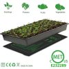 VEVOR Pack Seedling Heat Mat MET-Certified Waterproof Warm Hydroponic Plant Heating Pad for Seed Starting and Indoor Gardening