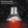 Ceramic Emitter Heat Light Mini Black Pet Heating Lamp Infrared Bulb 25/50/ 75/100W Brooder Chickens Reptile lamp