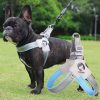 Adjustable Pet Dog Cat Grooming Loop Table Pet Grooming Leash Table Loop D-rings Bathing Strap Traction Belt Dog Collar Harness