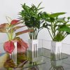 Aquarium simulation plant aquatic plants