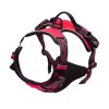 Hamster Harness Vest Adjustable Leash Set with Bowknot for Pet Rabbits Guinea Pig Chinchilla Ferret Small Animal Accessories
