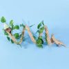 Artificial Landscape Ornament Multifunction Aquarium Hollow Log Decor Non-toxic Resin Fish Hiding Cave for Fish Tank Aquarium